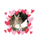 うさぎのココアくんver.1.01（個別スタンプ：21）