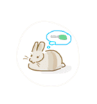 うさぎのココアくんver.1.01（個別スタンプ：24）