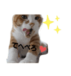 動物ラブ❤️2（個別スタンプ：3）