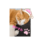 動物ラブ❤️2（個別スタンプ：4）