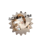 動物ラブ❤️2（個別スタンプ：10）