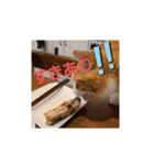 動物ラブ❤️2（個別スタンプ：11）