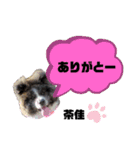 秋田犬茶佳（個別スタンプ：20）