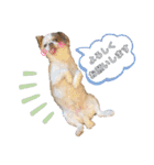 犬戦士ぶんぶん2（個別スタンプ：5）