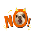 犬戦士ぶんぶん2（個別スタンプ：7）