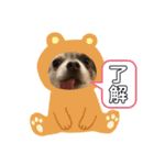 犬戦士ぶんぶん2（個別スタンプ：12）