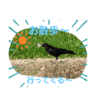 動物ラブ❤️（個別スタンプ：2）