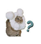 いやしねこさま（個別スタンプ：1）