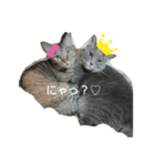 いやしねこさま（個別スタンプ：2）