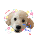白ワインのシャルドネくん（個別スタンプ：4）
