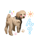 白ワインのシャルドネくん（個別スタンプ：5）