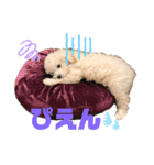 白ワインのシャルドネくん（個別スタンプ：6）