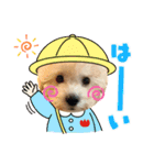 白ワインのシャルドネくん（個別スタンプ：8）