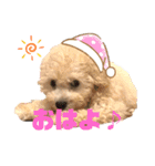 白ワインのシャルドネくん（個別スタンプ：11）
