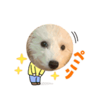 白ワインのシャルドネくん（個別スタンプ：12）
