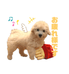 白ワインのシャルドネくん（個別スタンプ：14）