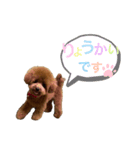 mocaの日常スタンプ♡（個別スタンプ：6）
