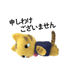 【動く】ふわもこトラ猫（個別スタンプ：15）