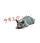 気分屋猫ちゃん（個別スタンプ：7）