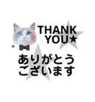 モフモフって正義じゃない？（個別スタンプ：1）