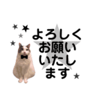 モフモフって正義じゃない？（個別スタンプ：2）