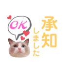 モフモフって正義じゃない？（個別スタンプ：4）