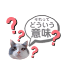 モフモフって正義じゃない？（個別スタンプ：9）