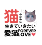モフモフって正義じゃない？（個別スタンプ：11）