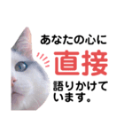 モフモフって正義じゃない？（個別スタンプ：14）