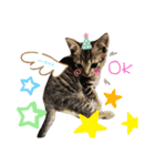 みらいねこ横濱（個別スタンプ：1）