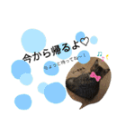 みらいねこ横濱（個別スタンプ：6）
