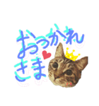 みらいねこ横濱（個別スタンプ：7）