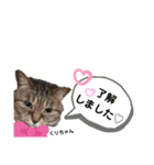 みらいねこ横濱（個別スタンプ：8）