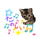 みらいねこ横濱（個別スタンプ：9）