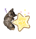 みらいねこ横濱（個別スタンプ：10）