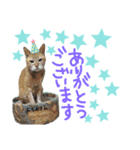 みらいねこ横濱（個別スタンプ：14）