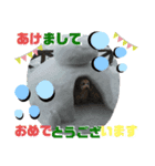 だっぷーくん（個別スタンプ：4）