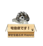 幸せを運ぶ犬 Happy シーズー犬 ハッピー（個別スタンプ：9）