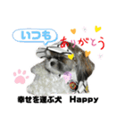 幸せを運ぶ犬 Happy シーズー犬 ハッピー（個別スタンプ：32）