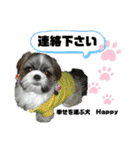 幸せを運ぶ犬 Happy シーズー犬 ハッピー（個別スタンプ：37）