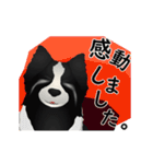 【動く】ボーダーコリー犬のジョン（個別スタンプ：23）