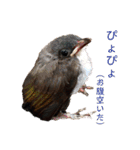 吾輩はレオ様也（個別スタンプ：18）