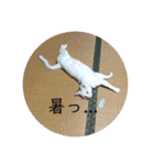 吾輩はレオ様也（個別スタンプ：31）