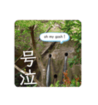 吾輩はレオ様也（個別スタンプ：37）