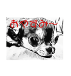 チワワちゃんが挨拶（個別スタンプ：2）