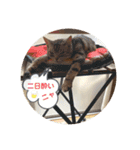 我らあずもなニャ（個別スタンプ：2）