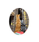 我らあずもなニャ（個別スタンプ：4）