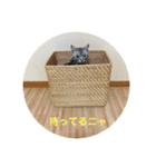 我らあずもなニャ（個別スタンプ：5）