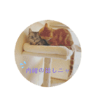 我らあずもなニャ（個別スタンプ：9）