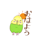 ゆるかわセキセイインコ（個別スタンプ：1）